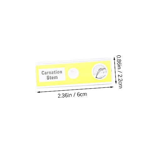FUNOMOCYA 12pcs Glass Slide Microscope Slide for Kids Plastic Prepared Microscope Slides Child Botany 2 21pss0nU6+L