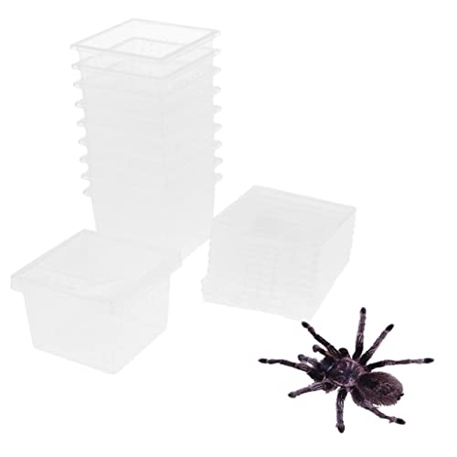 Homozy 8D1DF49F62F1CFEE28937F6B75A67EC9 10 Pcs Insect Reptile Spider Terrariums Breeding Box Hatching Container thumb #1