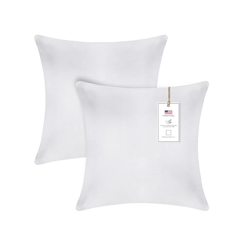 A1HC Ready to Use Velvet Throw Pillow Well Filled with Hypoallergenic Down Alternative Infill Offering Ultimate Comfort and Support (White, Pillow Insert Pack of 2, 20"x20")