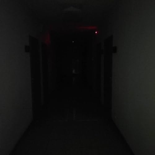  Silent Hill 4