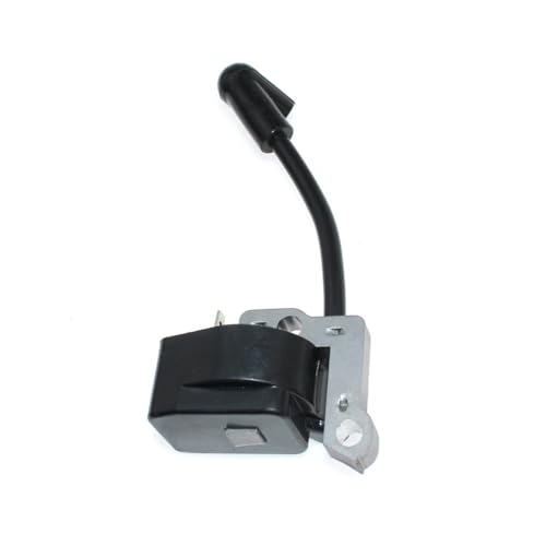 Bobina de encendido soluciona tirones y fallos en motor 8300