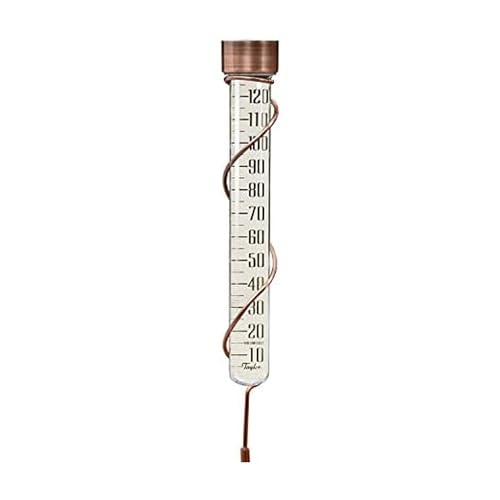 Taylor Precision Products Heritage 27" Tall Glass Rain Gauge, 5" Capacity, One Size, Copper
