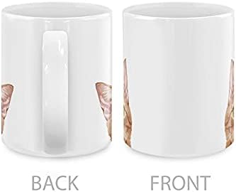 MUGBREW Orange Tabby Kitten Cat Ceramic Coffee Mug Tea Cup, 11 OZ - Image 3