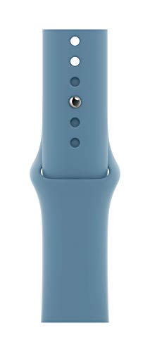 Image of Apple Watch Band - Sport Band (40mm) - Northern Blue - Regular