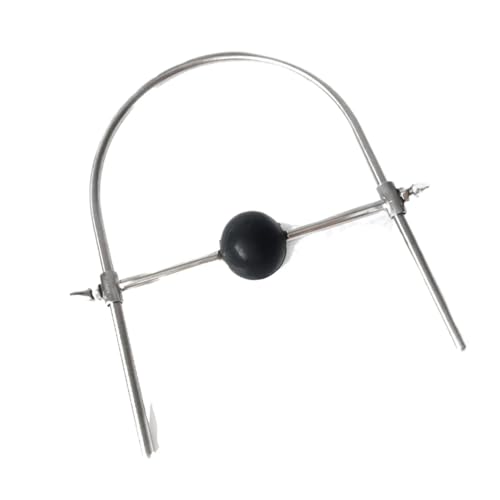 BFLaiCai Divaricatore Per Bocca In Acciaio Inossidabile Lettino Per Sesso Bavaglio Regolabile Boccaglio Rimovibile Bavaglio Per Bocca In Metallo Bavaglio A Sfera SM Gag Erotico Fetish Giocattolo