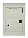 Protex Wall-Mount Drop Box Safe (WDS-150), Piano hinge, secure suggestions, ballots, keys, mail, money, rent checks and more, Metal baffle to protect slot, off white