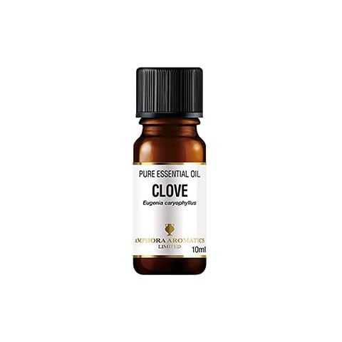 Clove Bud Pure Essential Oil 10ml Cover