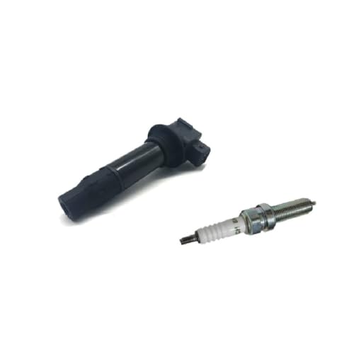 Bougies d'allumage pour Moteur 300NK NK300 avec kit haute tension et capuchon