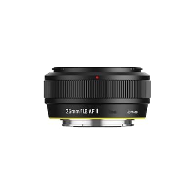 DSLR Camera Lens, 25mm F1.8 AF APS-C Large Aperture Prime Camera Portrait Lenses,Compatible for Sony E Fuji FX30 Nikon Z ZVE-10 A5000 A5100(Black,Z)