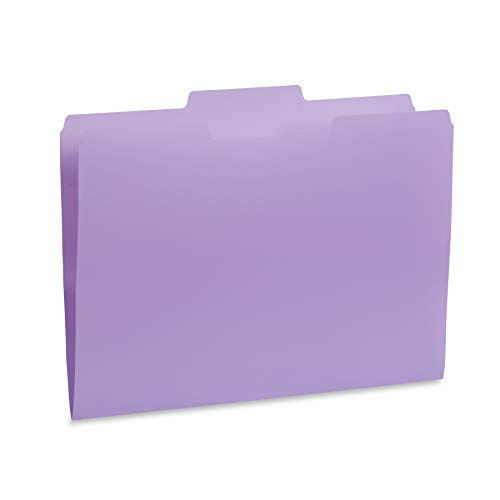 Blue Summit Supplies 30 Gem Tone Plastic File Folders, 1/3 Cut Tab, Letter Size, Assorted Colors, Great For Organizing And Easy File Storage, 30 Pack #TOP6