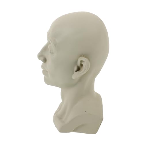 TEMPNAP ^pё fXNgbv Ɨpf`f nIȉƗptBMA itBMA