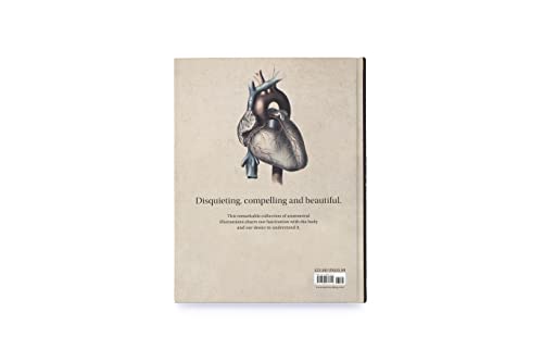 Anatomica: The Exquisite And Unsettling Art Of Human Anatomy #TOP2