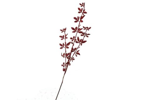 LINEA BRILLER RAMO COL ROSSO 57cm 04684