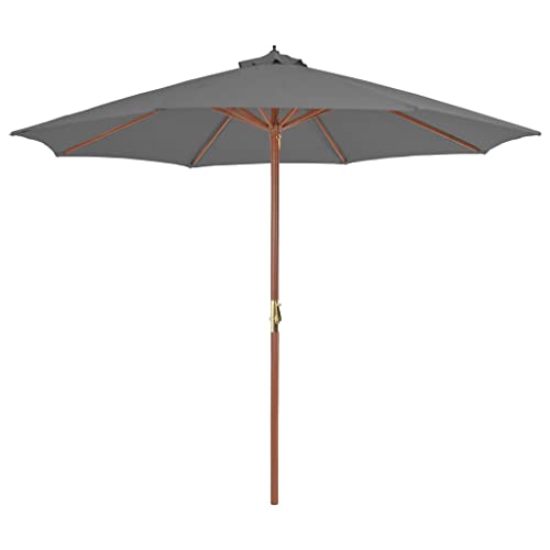 vidaXL Parasol d'Extérieur avec Mât en Bois Anthracité Pare-Soleil Jardin