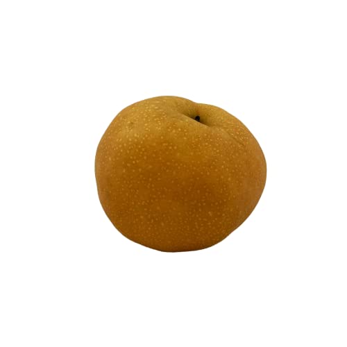 Fresh Korean Singo Pears 4 Pack | Premium Asian Pears | Extra Juicy, Crisp & Sweet | Ideal for Snacking & Desserts
