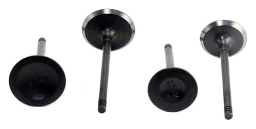 Admisión para SSV UTV 500 a 1000 cc compatible con el modelo 0800-02200A 6