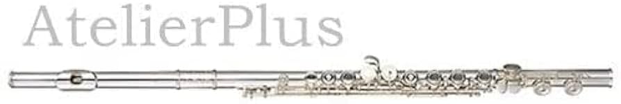 Amazon | ミヤザワ フルート Atelierシリーズ Atelier-2 BR