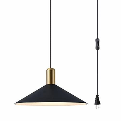Suspension rustique noire avec câble de 4,5m réglable et interrupteur pour cuisine