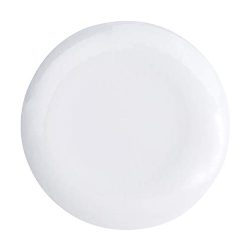 Amazon Basics Melamine Dinnerware Set, Service For 4, Blue Hydrangea Floral - Set Of 12 #TOP3