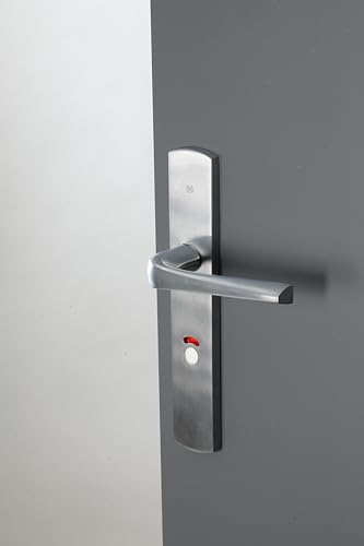 Bricard 879057 Pair of Handles Satin Chrome Zamack on Evidence Plate Toilet Door - Image 2
