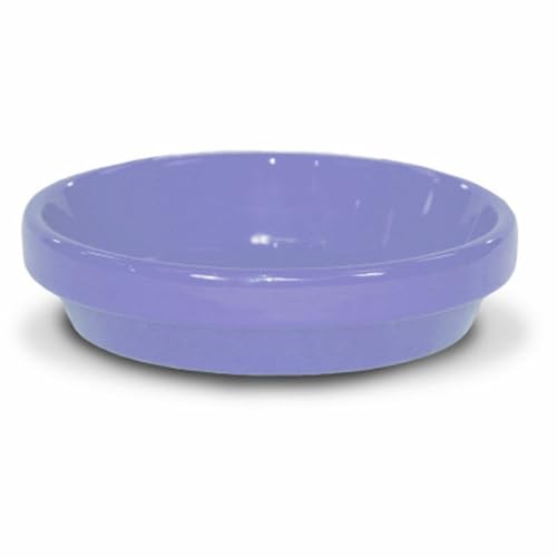 Ceramo 259533 5.75 in. Ceramic Saucer Sage Green