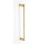 Satin Brass