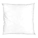 Coussin à recouvrir 70x70 cm garnissage Fibres Polyester Coussin Malin