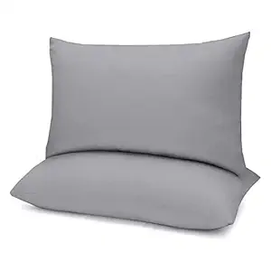 Linen Affairs - Sleeping Microfiber Soft Pillow Filler 2 Pieces Sleep Comfortable with Light Grey Pillows Size_20x30 Inch (Size_20x30 Inch)