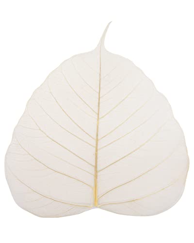 100 Pcs. Skeleton Natural Ficus Religiosa Leaves Artificial Leaves Craft Card Scrapbook Diy Handmade Embellishment Decoration Art