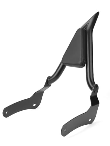 Coussin dossier passager moto pour les longs road trips en Rebel CMX500