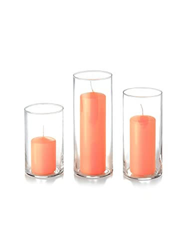 yummi Set of 12 Slim Pillars and Cylinder Vases - Peach