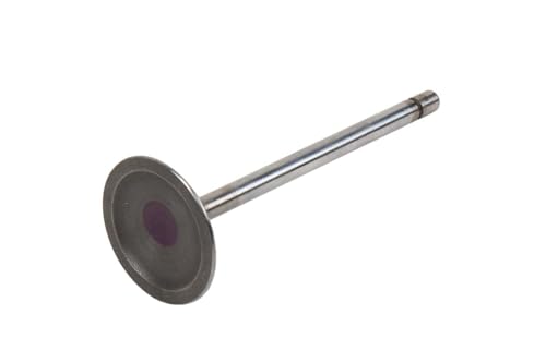 GM Genuine Parts 12575351 Engine Intake Valve