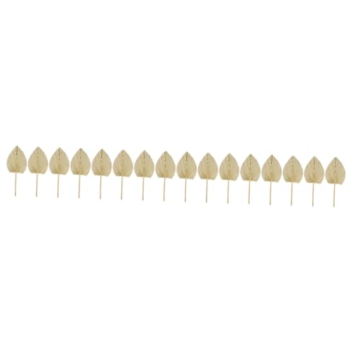 16 hojas secas de palma decorativas para boda