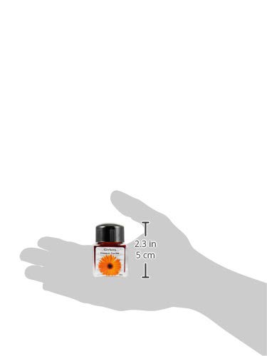 Amazon | ダイアミン ボトルインク ミュージックセット 10色入 30ml