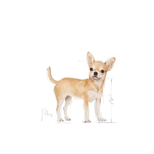 Royal Canin Chihuahua Adult | 1,5 kg | Trockenfutter für ausgewachsene Chihuahuas | Zur Unterstützung der Stuhlqualität und der Zahngesundheit | Hohe Akzeptanz bei Hunden