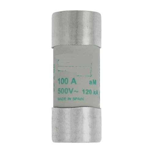 Fusible C22M100 am 100A haute tension 690V coupure sécurisée 22x58mm