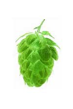 Cascade Leaf Hops 1 oz