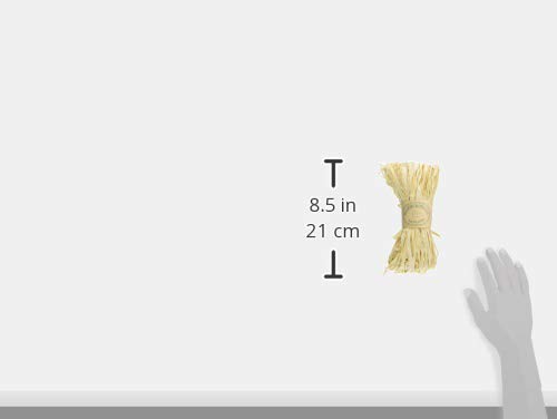 Amazon.co.jp: 大地農園 天然素材 ラフィアファイバー (50g入り