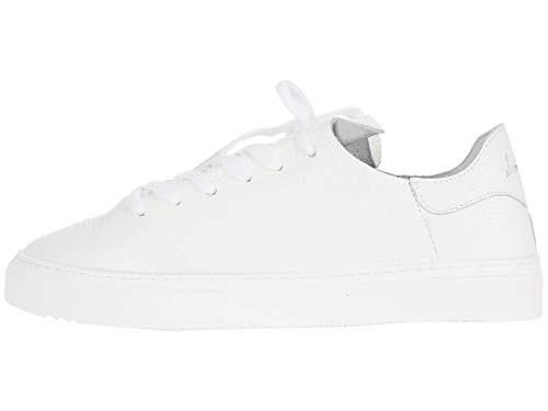 Image of Sam Edelman Women's Poppy Sneaker3