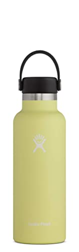 HYDRO FLASK - Cantimplora Isotérmica 532 ml, Botella Térmica Acero Inox, Termo Aislamiento al Vacío, Tapón Flex Cap…