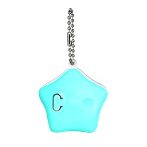 Duroecsain Sternform Haustierbeleuchtung Hundemarke