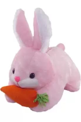 Image of Combo of 4 Animals Soft Toy Kids Squirrel, Dolphine, Turtle & Pink Rabbit .All Best Stuff Toys for Kids (Enjoy) Playing Birthday Gift etc.