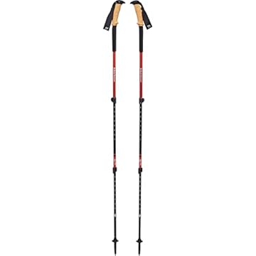 black diamond ergo cork trekking pole