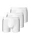 Produktbild Schiesser 95/5 Stretch Pants 173816-6er Pack White 5