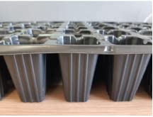 GROWMANIA Confezione da 5 Vassoi di Germinazione 60 Alveoli | Semenzale 100% Materiale riciclabile | Propagatore di semi