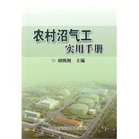 Biogas Engineering Practical Guide(Chinese Edition)