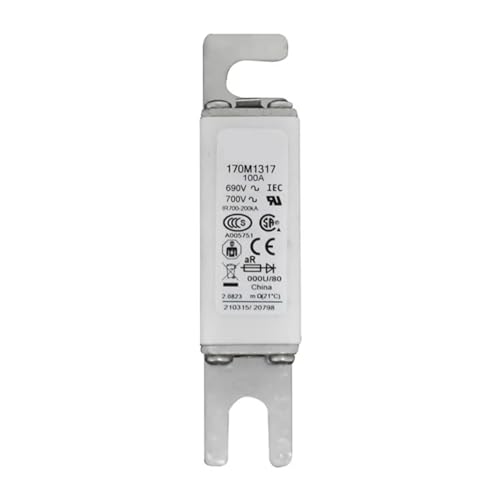 Fusible rapide 170M1316 cartouche basse tension 170M1317