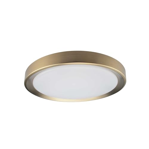 Dainolite FYN-1224LEDFH Flynn Modern Flush Mount Light with White Diffuser