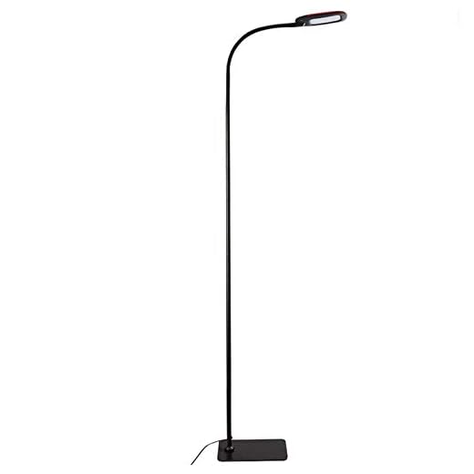 Twinkle Star Gooseneck Floor Lamp Dimmable LED Standing Lamp, Reading Lamp for Living Room