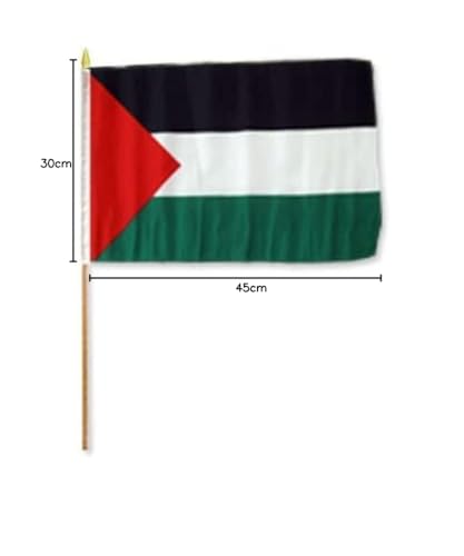 AZ FLAG, Set of 10 Palestine Hand Flag 12'' x 18'' with Wood Stick - Image 2